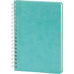 Spiralli Tarihsiz Defter ( 17 x 24 cm )